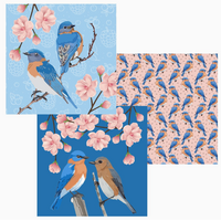 Bluebird Dual Sided Cloths Set of 3