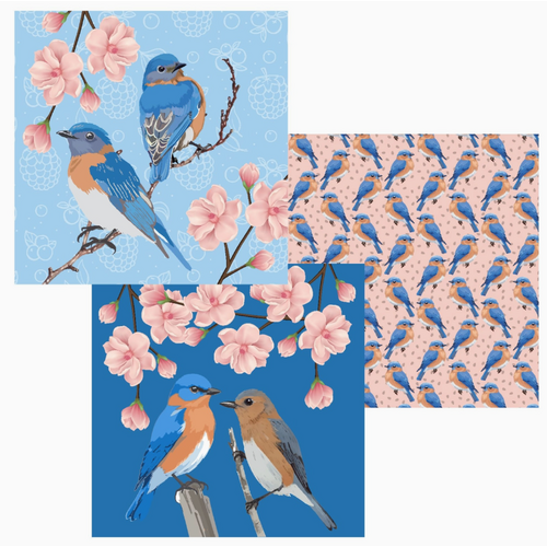  Buzzee Bluebird Dual Sided Cloths Set of 3 