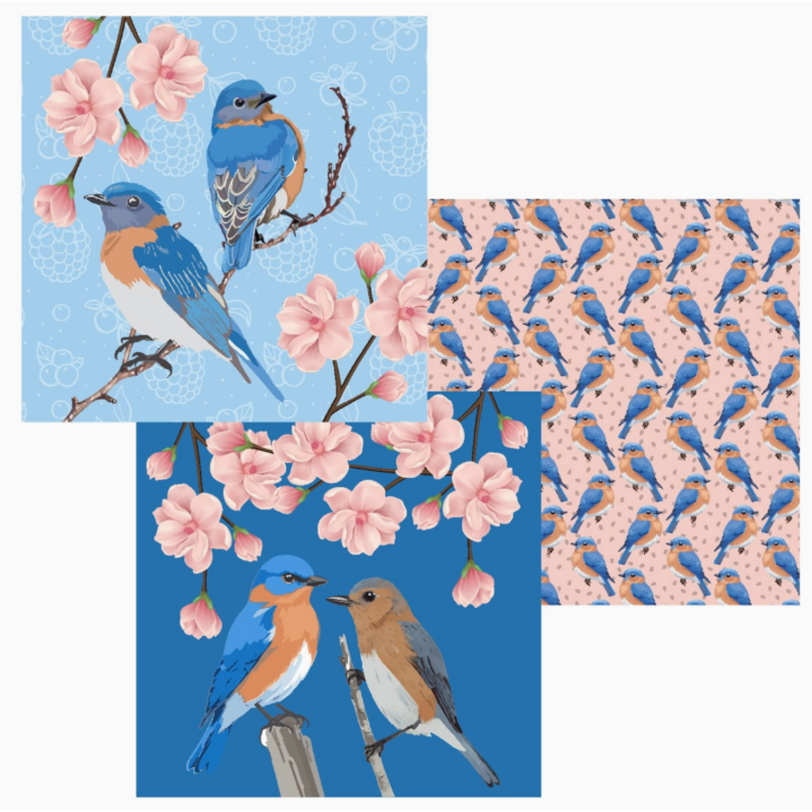 Bluebird Dual Sided Cloths Set of 3