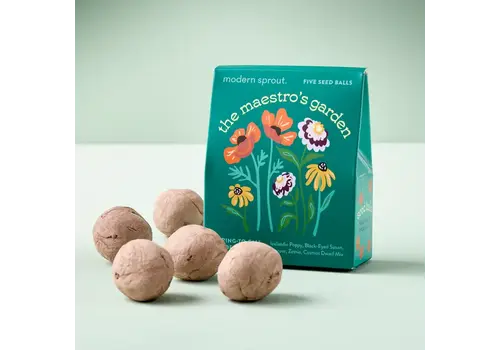  Modern Sprout Bespoke Blooms The Maestro's Garden 