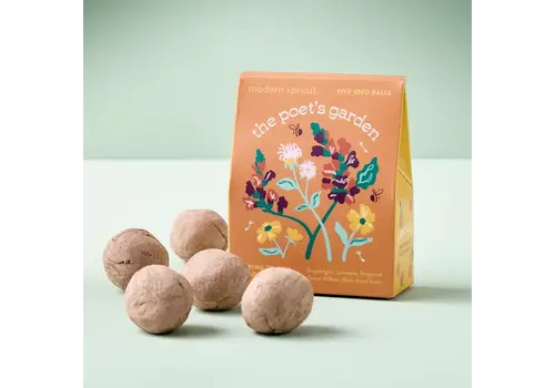  Modern Sprout Bespoke Blooms The Poet's Garden 