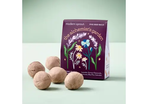  Modern Sprout Bespoke Blooms Alchemist's Garden 