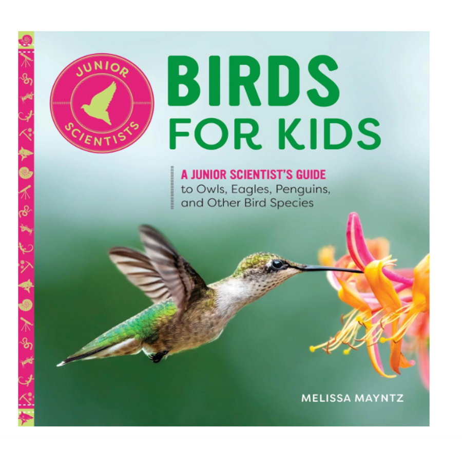 Birds for Kids