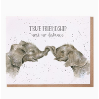 True Friendship Card