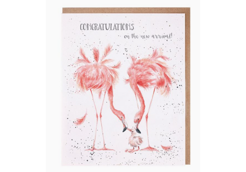  Wrendale Designs Flamingo New Arrival Card 