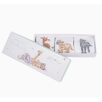 Little Savannah Baby Socks (Set of 3) 0 to 6 Months