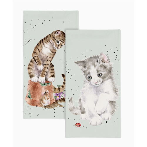  Wrendale Designs Cat Pocket Tissues Ladybird 