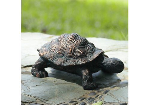  Curious Young Turtle Garden Sculpture 