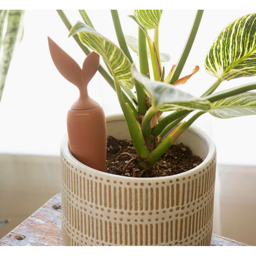 Terracotta Watering Stake