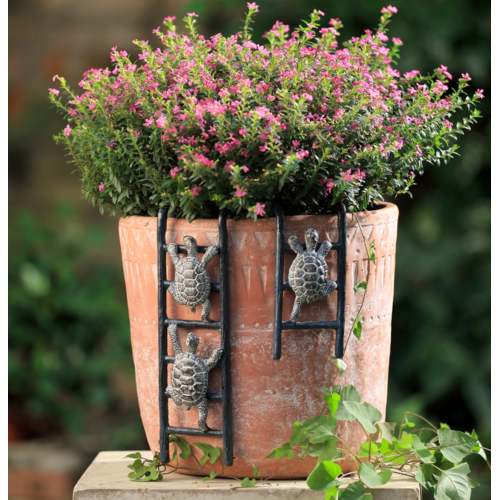 Turtle Pot Hangers Set of 2 