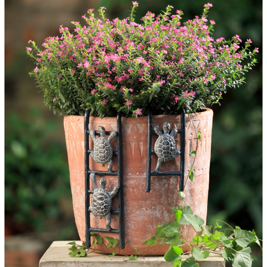 Turtle Pot Hangers Set of 2