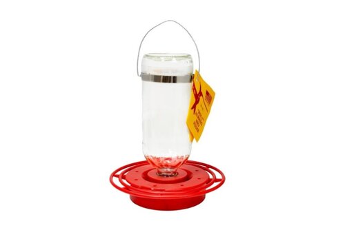  Glass HB Feeder Best 
