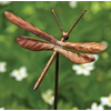 Flamed Dragonfly Stake