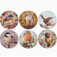 Tiny Bird Magnet Set