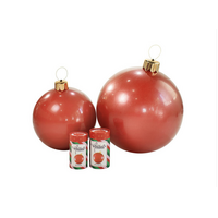 Inflatable Ornament