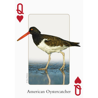 Birds of Northeast Playing Cards