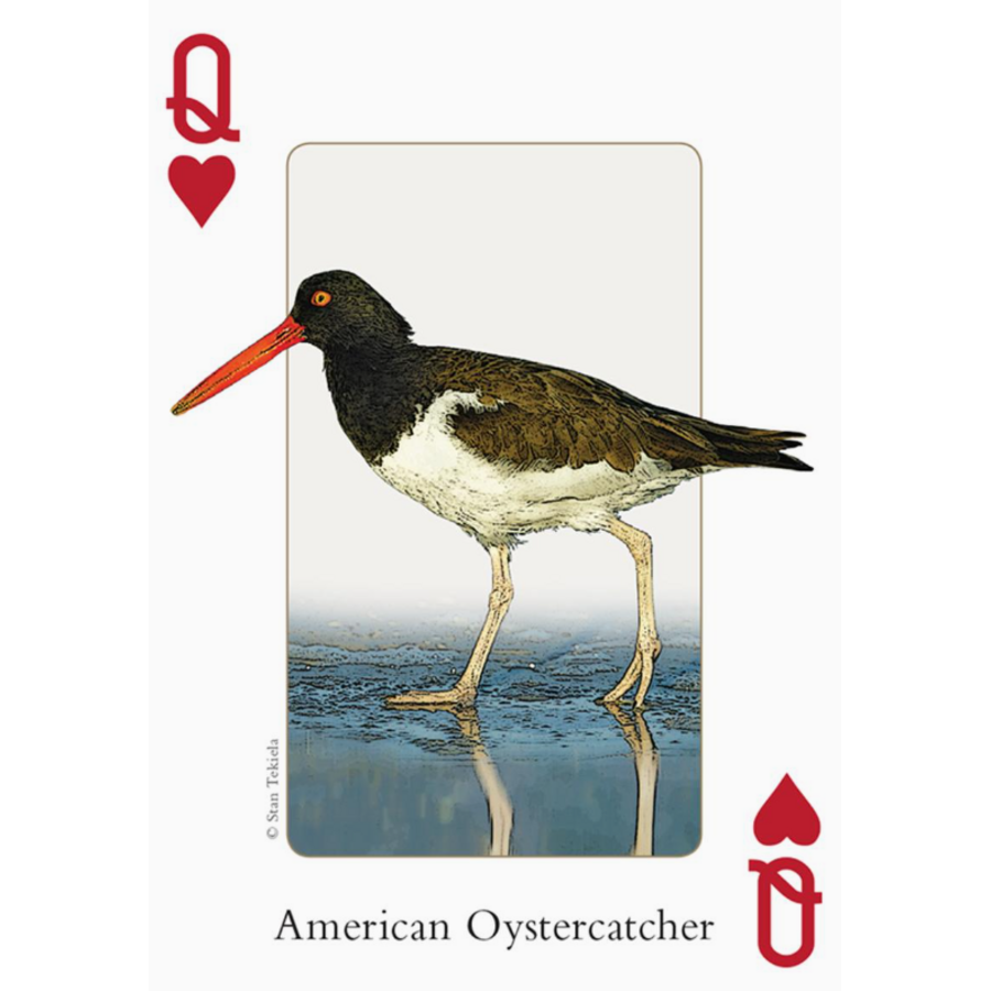 Birds of Northeast Playing Cards
