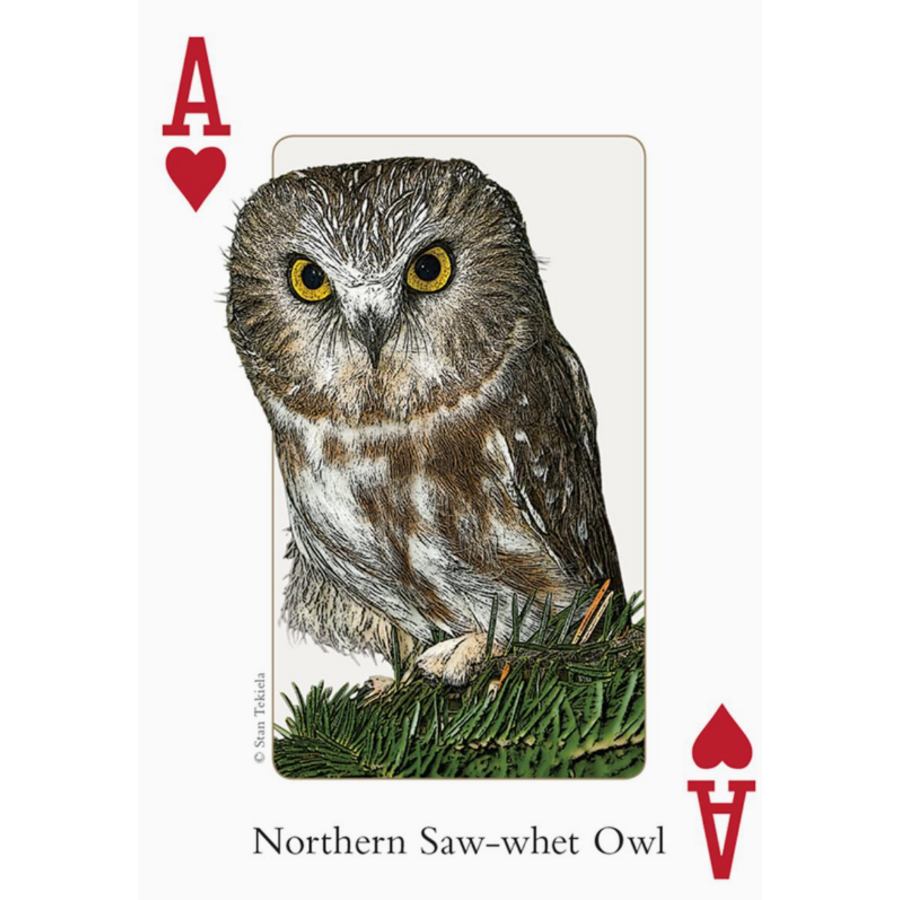 Birds of Northeast Playing Cards