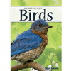 AdventureKEEN Birds of Northeast Playing Cards