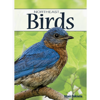 Birds of Northeast Playing Cards