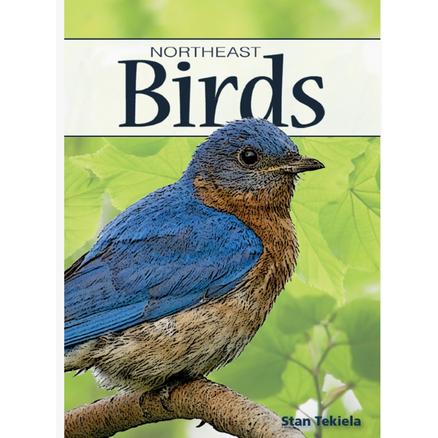 Birds of Northeast Playing Cards