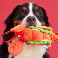 Maine Lobster Roll Dog Toy