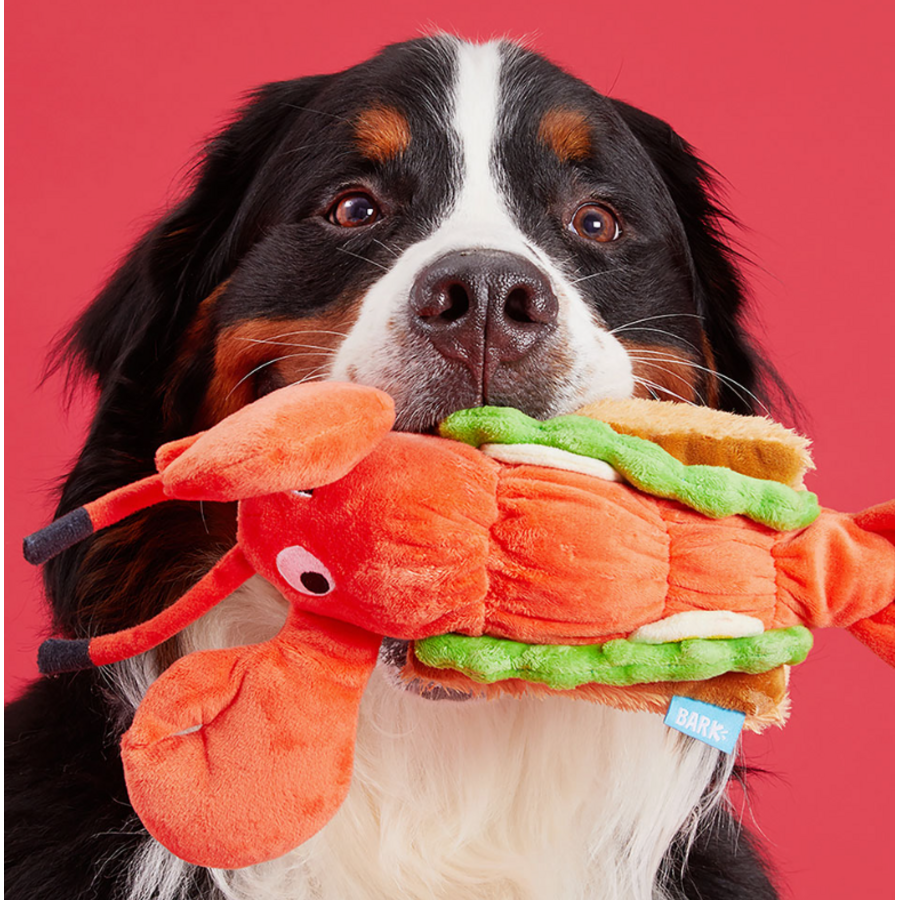 Maine Lobster Roll Dog Toy