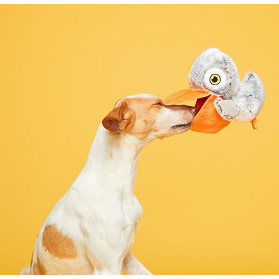 Big Bill & Beak-A-Boo Fish Dog Toy