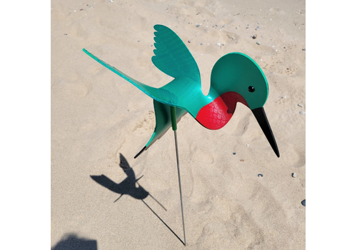  Florida Dancing Birds Dancing Hummingbird 