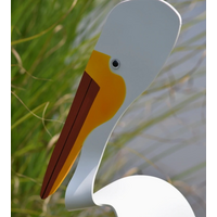 American White Pelican