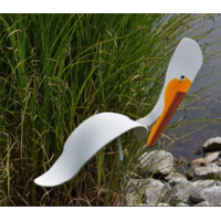American White Pelican