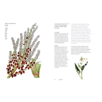 Herbal Handbook