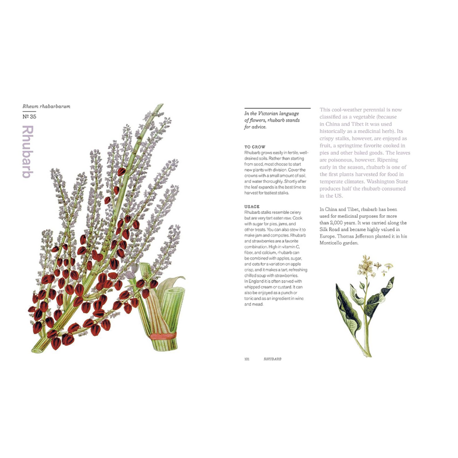 Herbal Handbook