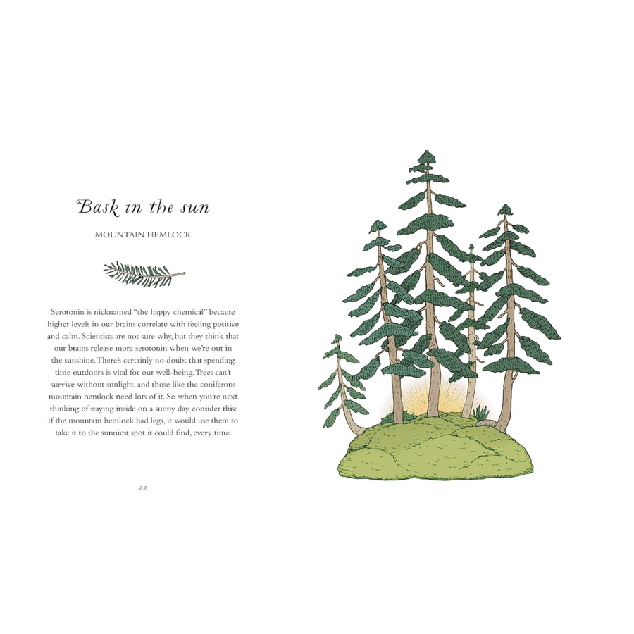 How to be More Tree
