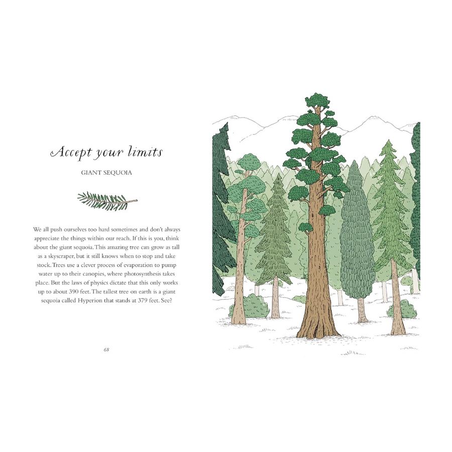 How to be More Tree