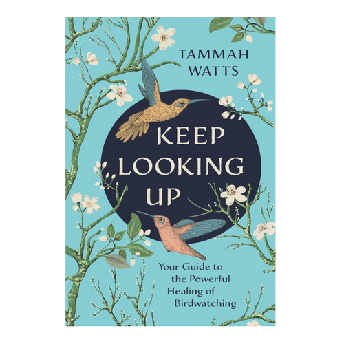  Keep Looking Up 