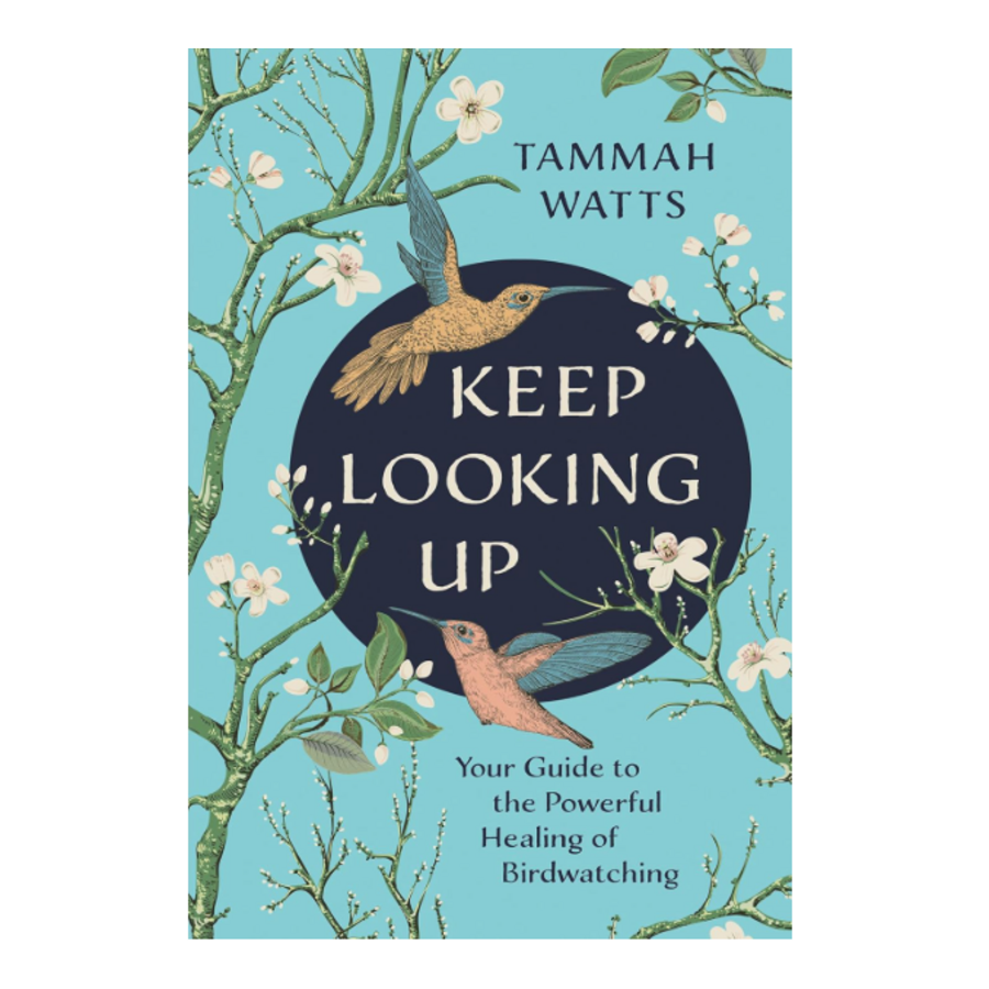 Keep Looking Up
