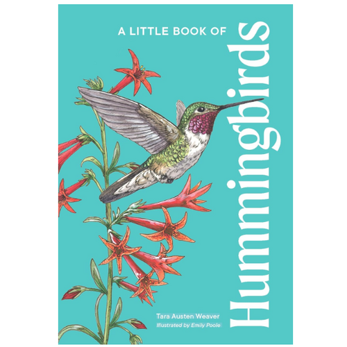  Little Book of Hummingbirds 