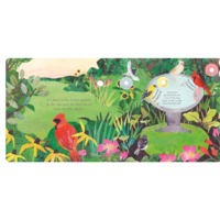 Songs of the Birds
