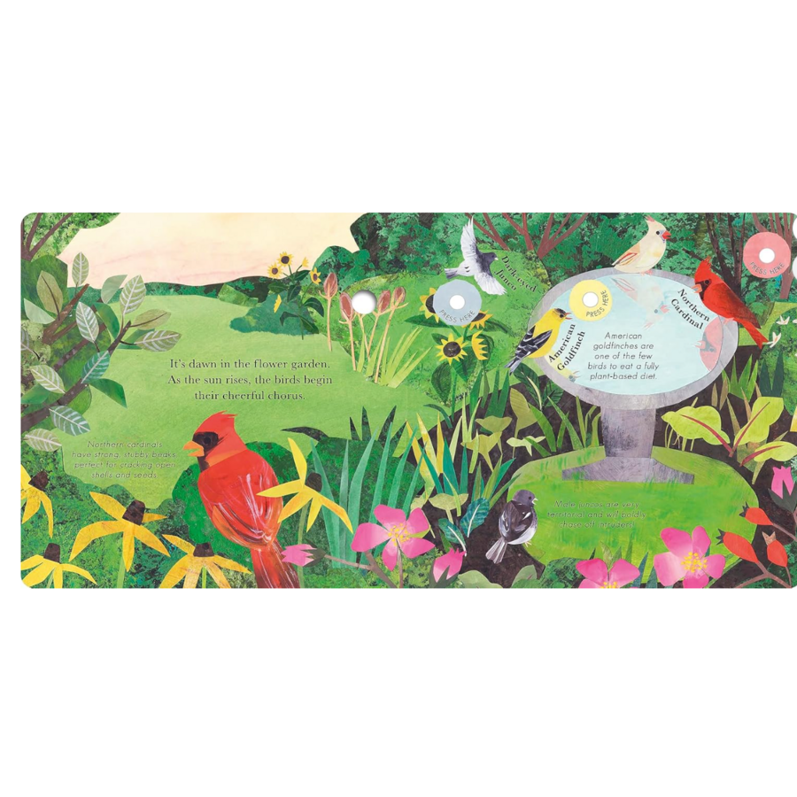 Songs of the Birds
