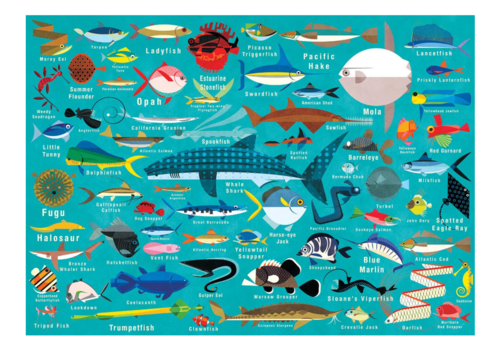  Ocean Life Puzzle 1000 PC 