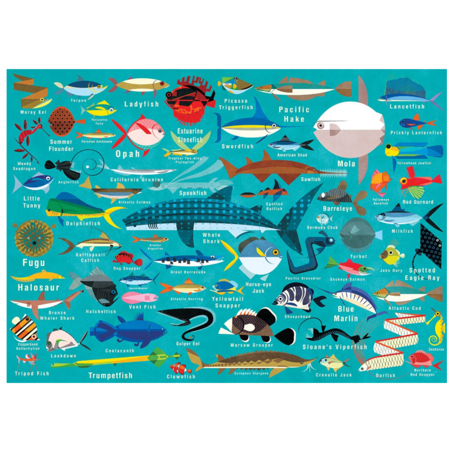 Ocean Life Puzzle 1000 PC