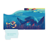Peek-a-Baby: Ocean