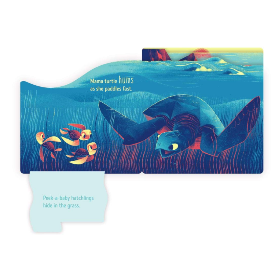 Peek-a-Baby: Ocean