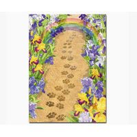 Path to the Rainbow Bridge Card