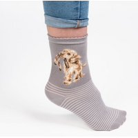 Hopeful Dog Socks
