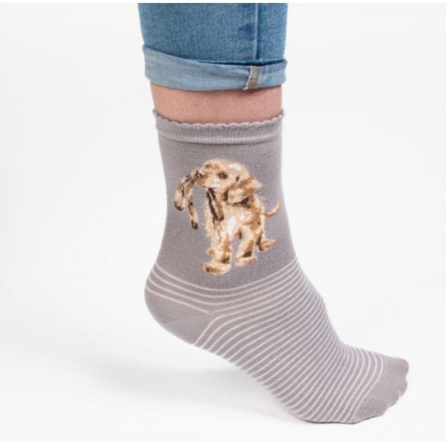 Hopeful Dog Socks