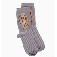 Hopeful Dog Socks