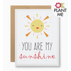Seedy Cards Plantable Seed Card You Are My Sunshine