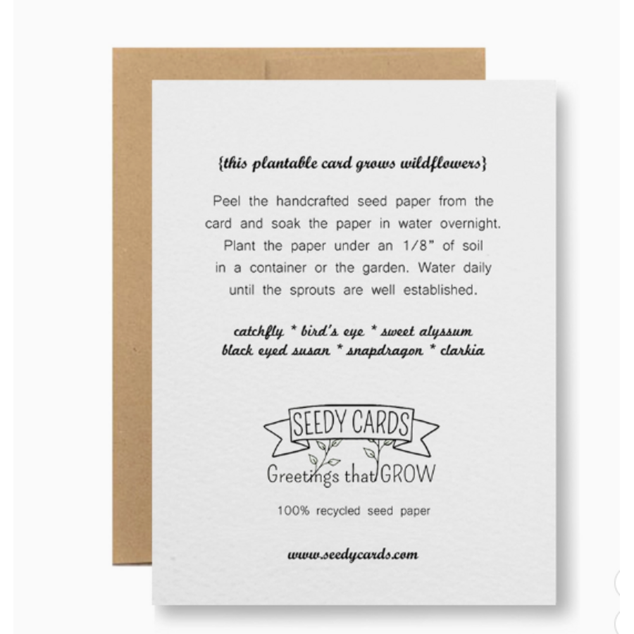 Plantable Seed Card Get Well Soon